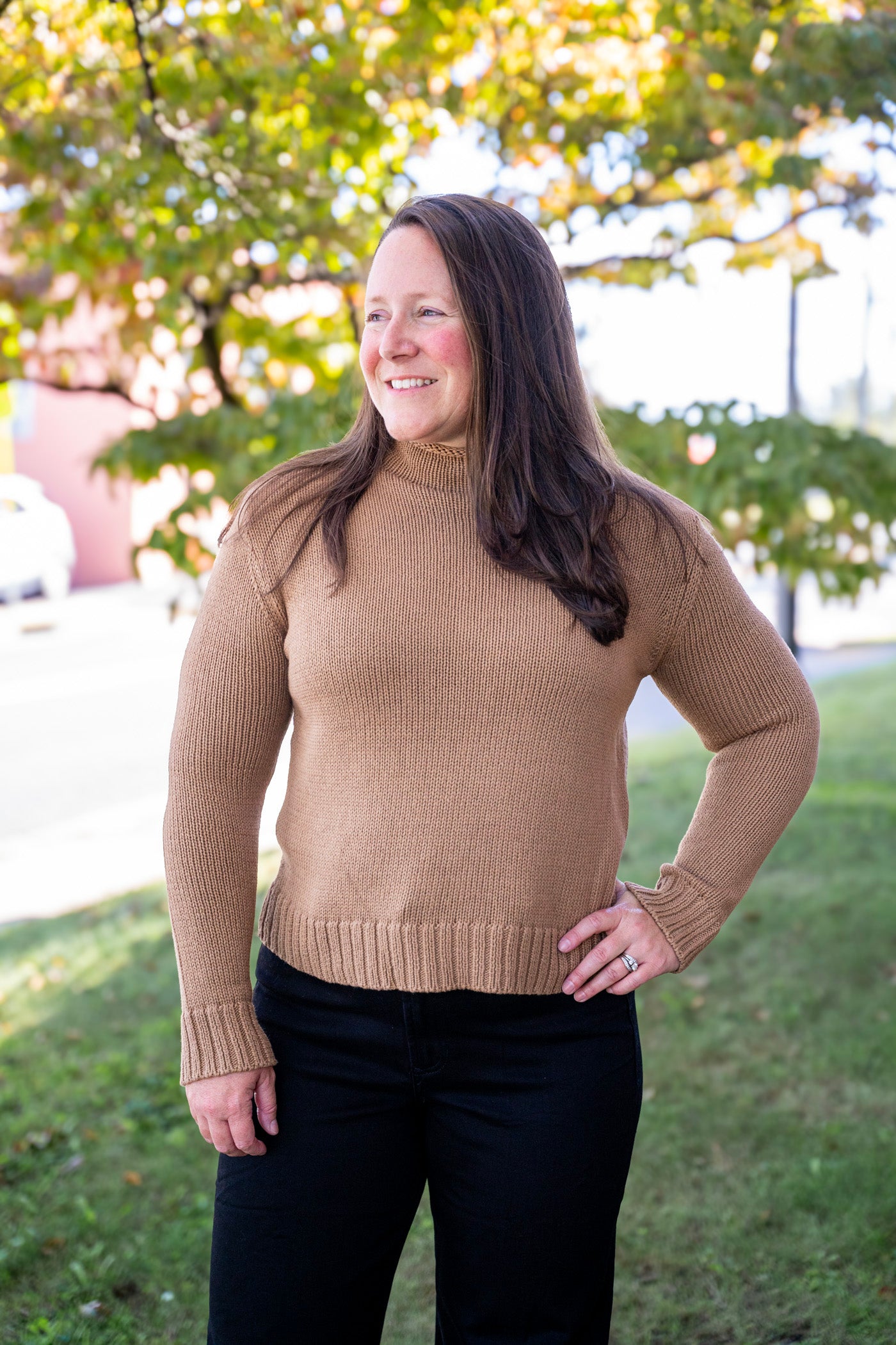 Molly Rollneck Sweater