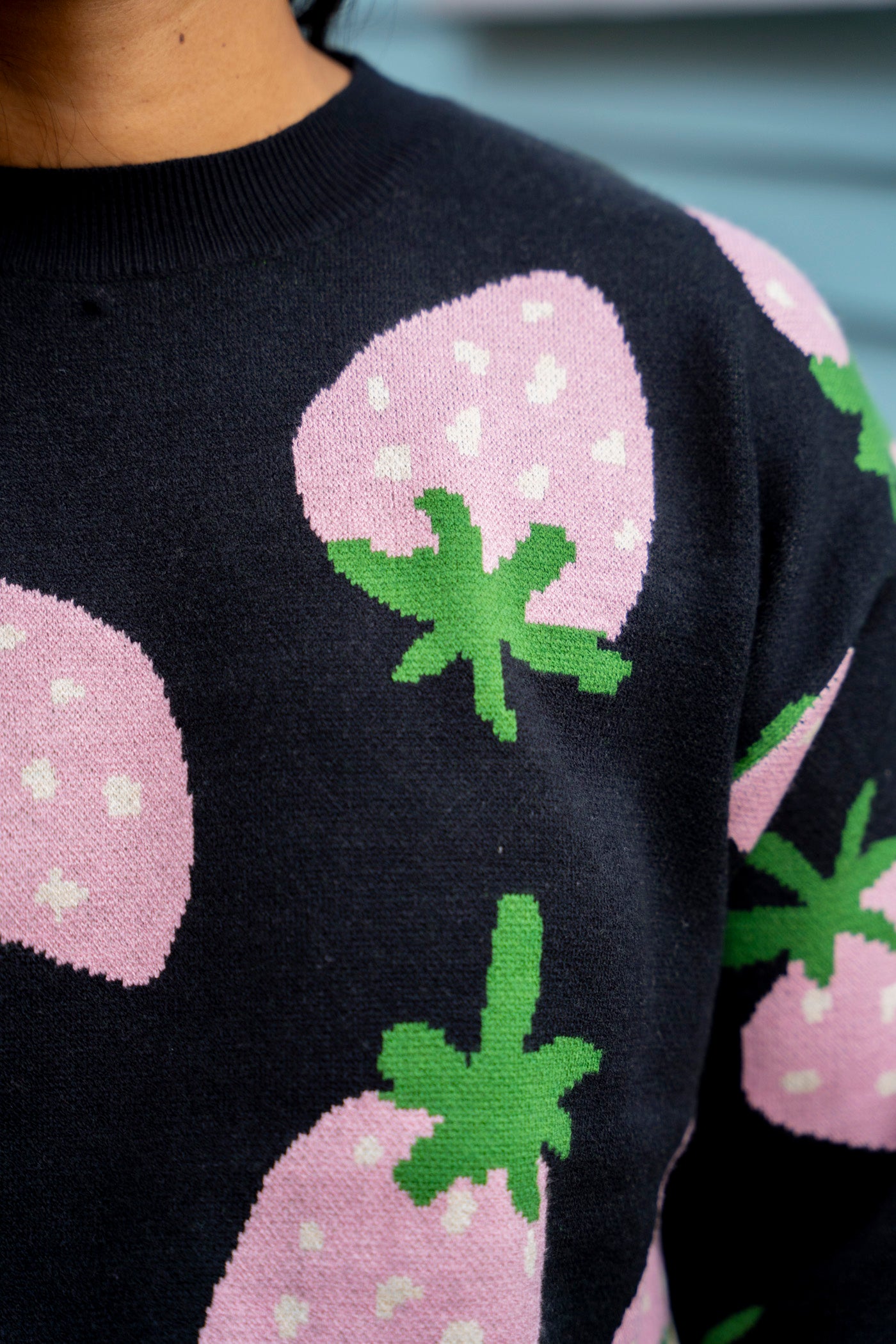 Strawberry Print Sweater