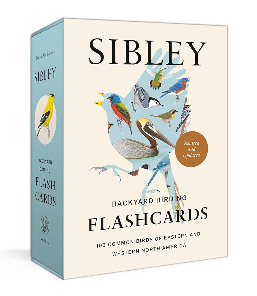 Sibley Backyard Birding Flashcards, Revised and Updated: 100 Common Birds of Eastern and Western North America (Sibley Birds) cover image