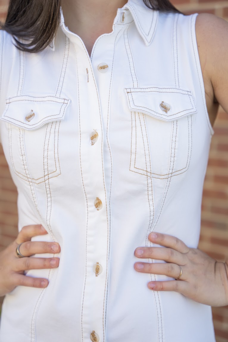 Westbound Denim Dress