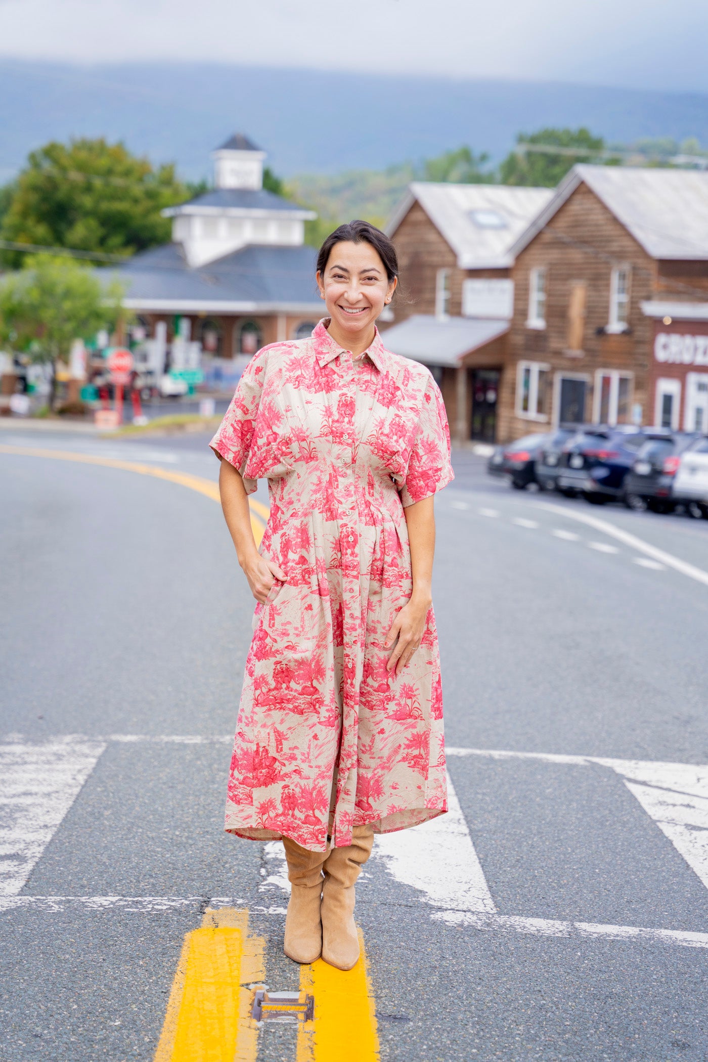 Pink Toile Midi Dress