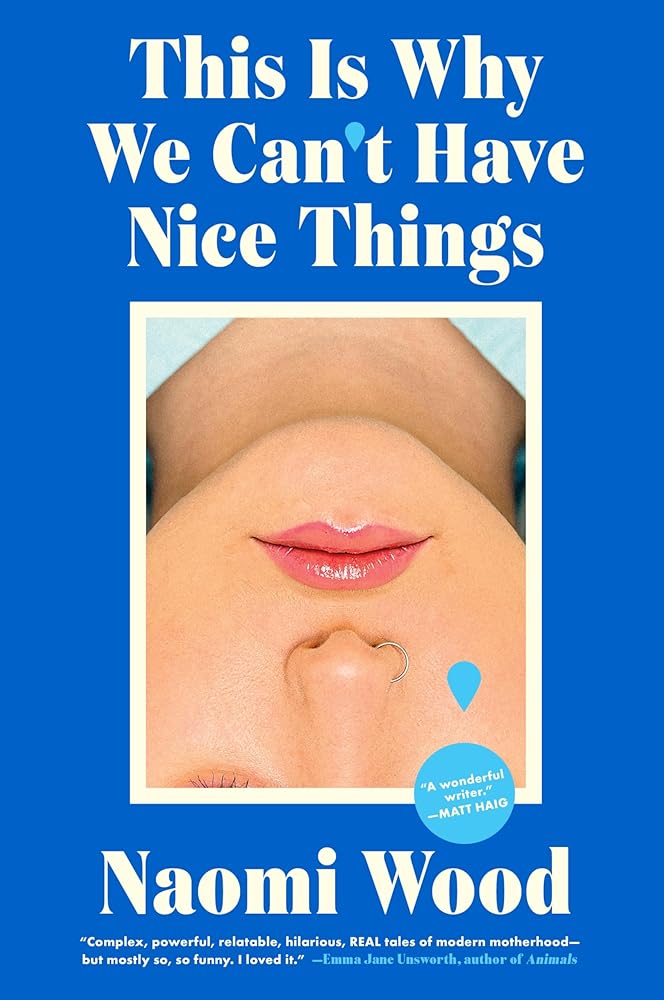 This Is Why We Can’t Have Nice Things cover image