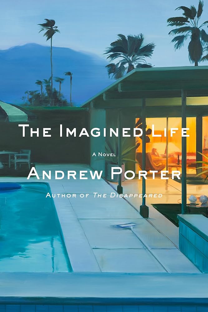The Imagined Life: A Novel cover image