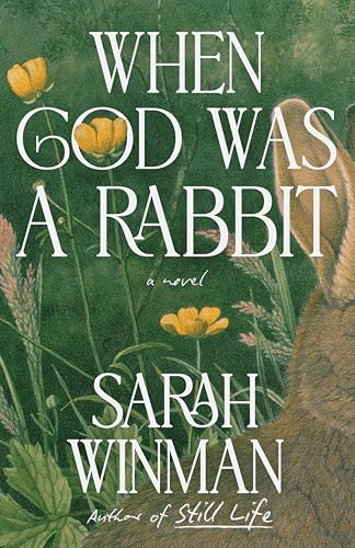When God Was a Rabbit cover image