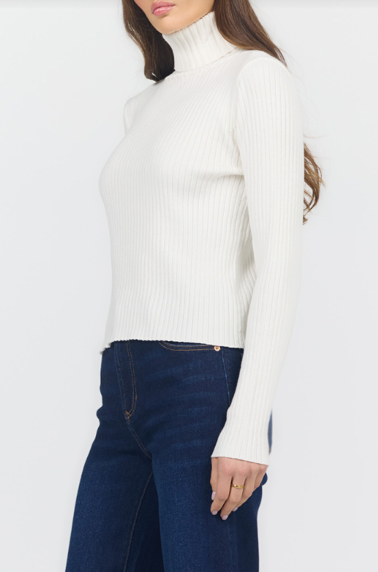 Arlen Ribbed Turtleneck Sweater