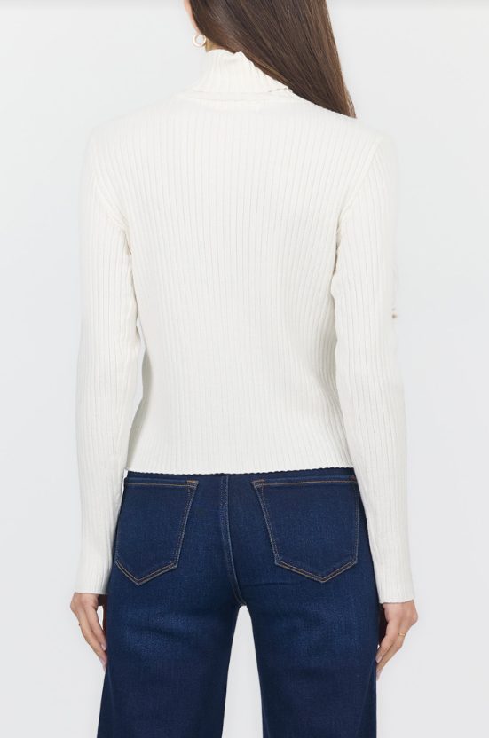 Arlen Ribbed Turtleneck Sweater