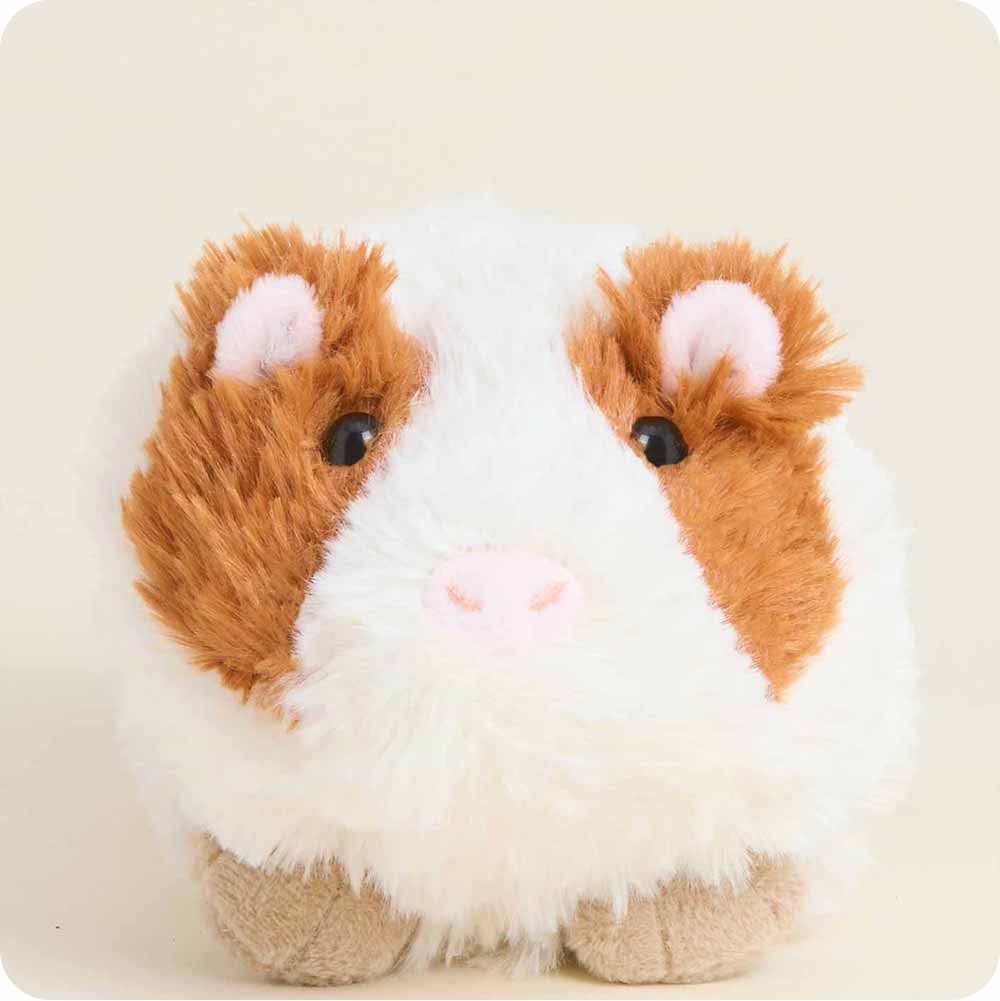 Guinea Pig Warmies