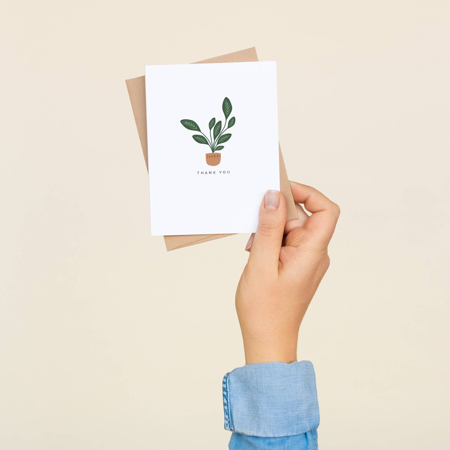 "Thank You" Calatheas / Plant / Thank You / BOX SET OF 8