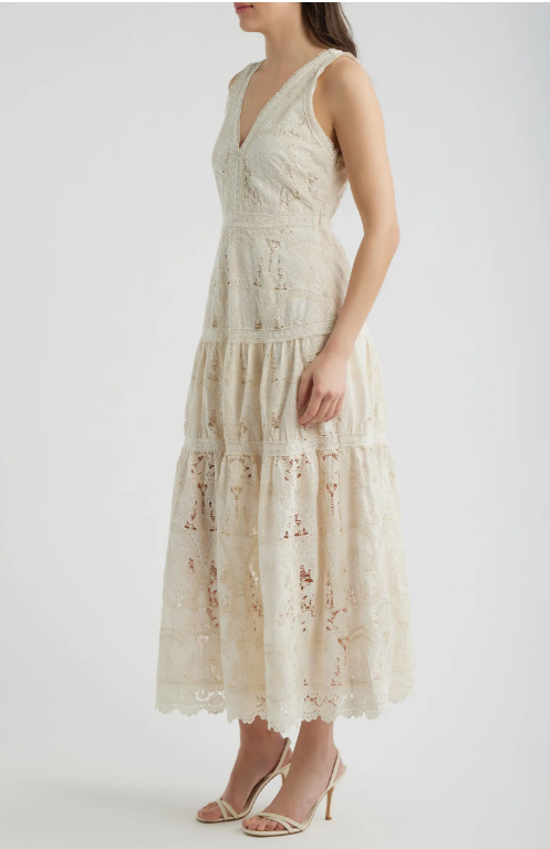 Francia Embroidered Lace Midi Dress