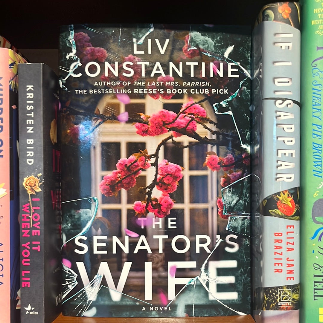 The Senator's Wife: A Novel
